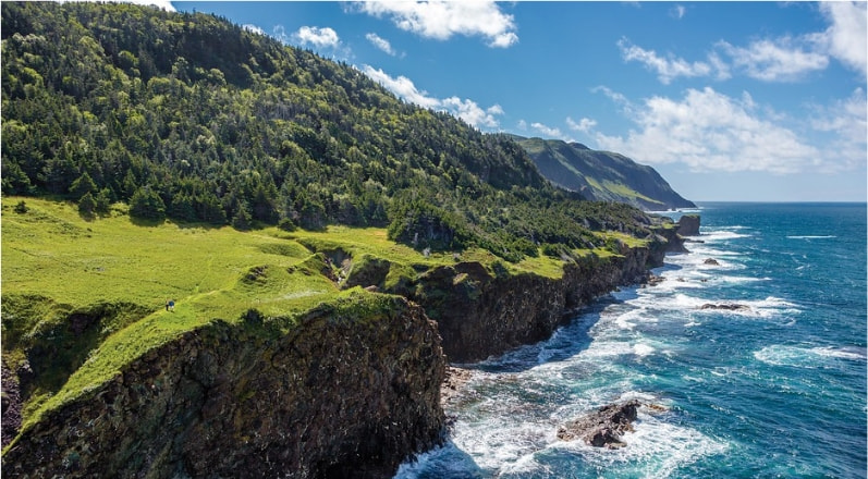 Distrito Escolar de Newfoundland