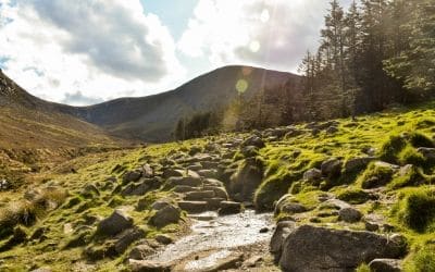 Año Escolar en Irlanda